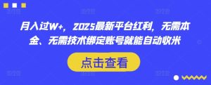 月入过W+，2025最新平台红利，无需本金、无需技术绑定账号就能自动收米 - 网赚资源网-网赚资源网