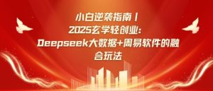 小白逆袭指南,2025玄学轻创业:Deepseek大数据+周易算法的融合玩法-网赚资源网