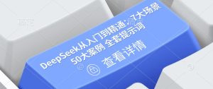 DeepSeek从入门到精通:7大场景 50大案例 全套提示词【文档】-网赚资源网