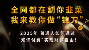 全网都在割你韭菜，我来教你做镰刀，2025普通人如何通过知识付费，实现财F自由【揭秘】-网赚资源网
