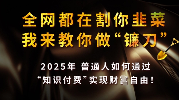全网都在割你韭菜，我来教你做镰刀，2025普通人如何通过知识付费，实现财F自由【揭秘】 - 网赚资源网-网赚资源网