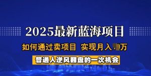 2025蓝海项目,普通人如何通过卖项目,实现月入过W,全过程【揭秘】-网赚资源网