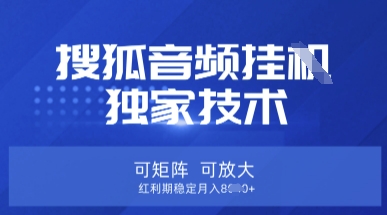 【搜狐音频挂G】独家技术，可矩阵可放大，红利期稳定月入8k【揭秘】 - 网赚资源网-网赚资源网