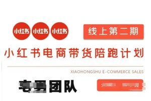小红书电商带货课2期,月利润20个的小红书电商的有货源,无货源,虚拟产品,付费投流等整套玩法-网赚资源网