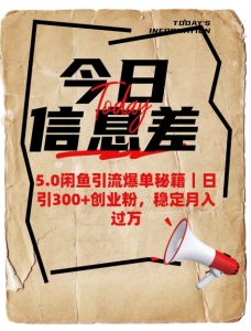 5.0闲鱼引流爆单秘籍，日引300+创业粉，稳定月入过W-网赚资源网