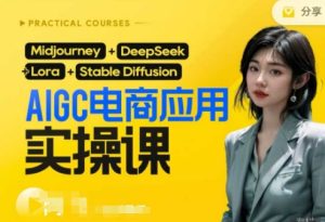 AI电商应用实操课(加更DeepSeek)保姆级喂饭教程,从0-1用AI做电商-网赚资源网