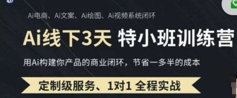 AI实操培训第20-21期线下，0基础保姆级教程，3月最新整理，企业获客、降本增效、打造超级个体 - 网赚资源网-网赚资源网