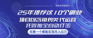 25年推荐这10个副业项目包含褂鸡类、代运营托管类、全自动打金类【揭秘】-网赚资源网
