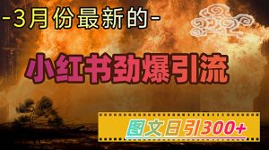 小红书超劲爆引流手段，图文日引300+轻松变现1W-网赚资源网