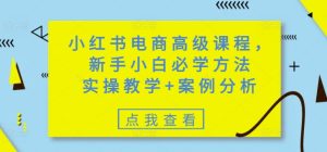 小红书电商高级课程，新手小白必学方法，实操教学+案例分析-网赚资源网