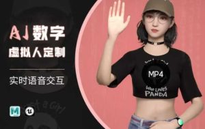 Ai数字人虚拟(智能体)实时语音交互特训营，​自行定制超写实角色AI数字人交互技术-网赚资源网
