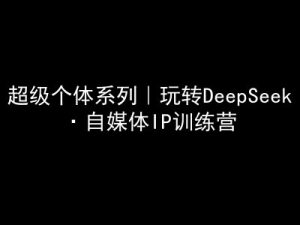 超级个体系列,玩转DeepSeek·自媒体IP训练营,deepseek教程-网赚资源网