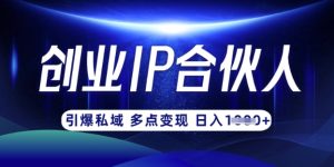 云帆·创业ip合伙人打造3.0，从0到1教你做网创，实现月入过W-网赚资源网