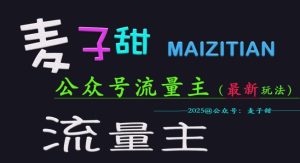 麦子甜2025公众号流量主全网最新玩法核心,手把手教学,成熟稳定,收益有保障-网赚资源网