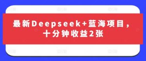 最新Deepseek+蓝海项目，十分钟收益2张-网赚资源网