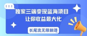 独家三端变现蓝海项目，让你收益最大化，长尾流无限躺挣-网赚资源网