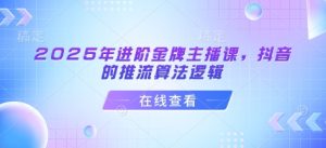 2025年进阶金牌主播课,抖音的推流算法逻辑-网赚资源网