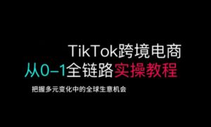 TikTok跨境电商从0-1全链路全方位实操教程，把握多元变化中的全球生意机会-网赚资源网