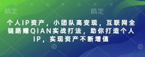 个人IP资产,小团队高变现,互联网全链路赚QIAN实战打法,助你打造个人IP,实现资产不断增值-网赚资源网