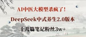 AI中医大模型杀疯了!DeepSeek中式养生2.0版本,十几篇笔记粉丝3w+-网赚资源网