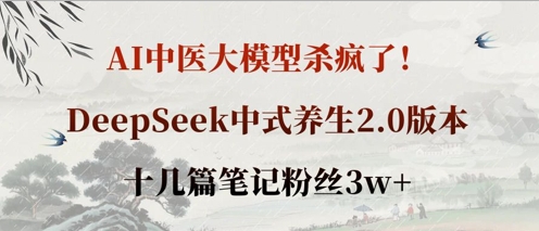 AI中医大模型杀疯了！DeepSeek中式养生2.0版本，十几篇笔记粉丝3w+ - 网赚资源网-网赚资源网