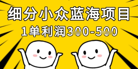 细分小众蓝海项目，一单利润3张，每月收入稳定过1w+ - 网赚资源网-网赚资源网