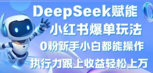 DeepSeek赋能小红书爆单玩法0粉新手小白都能操作,执行力跟上收益轻松上W,懒人勿做-网赚资源网
