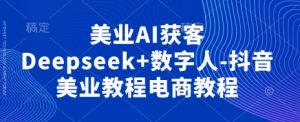 美业AI获客Deepseek+数字人-抖音美业教程电商教程-网赚资源网