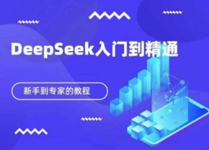 DeepSeek快速从入门到精通,新手的保姆级教程-网赚资源网