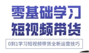 快手运营+高阶剪辑实战课,0到1学习短视频带货全新运营技巧-网赚资源网