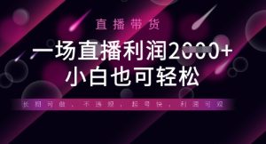 半无人直播带货，一场利润数张，适合所有平台玩法，小白也可轻松-网赚资源网