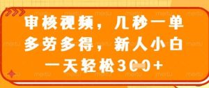 最新审核视频，几秒一单，多劳多得，新人小白一天轻松3张【揭秘】-网赚资源网