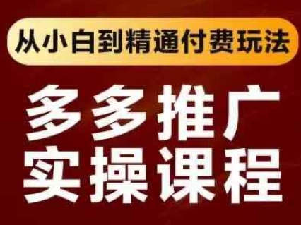 拼多多推广实操课程，从小白到精通付费玩法 - 网赚资源网-网赚资源网