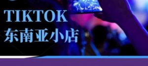 Tiktok东南亚跨境小店运营班，一门专业的TK小店运营培训课-网赚资源网