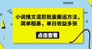 小说推文混剪批量搬运方法，简单粗暴，单日收益多张-网赚资源网