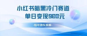 小红书冷门”暗黑”赛道，单日收益多张-网赚资源网