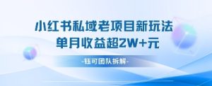 小红书私域项目新玩法,单月变现过W+-网赚资源网