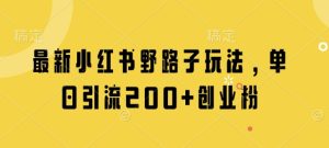 最新小红书野路子玩法,单日引流200+创业粉-网赚资源网