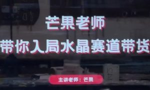 芒果老师·带你入局水晶赛道带货，助你开启水晶直播带货事业-网赚资源网
