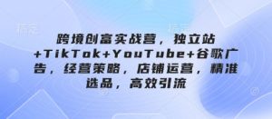 跨境创富实战营,独立站+TikTok+YouTube+谷歌广告,经营策略,店铺运营,精准选品,高效引流-网赚资源网