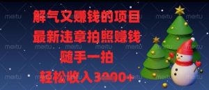 解气又挣钱的项目，最新违章拍照挣钱，随手一拍，轻松收入多张【揭秘】-网赚资源网