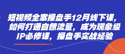 短视频全案操盘手12月线下课，如何打通自然流量，成为现象级IP必修课，操盘手实战经验 - 网赚资源网-网赚资源网
