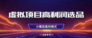 虚拟项目高利润选品方法,做好单店利润1W+,可多店倍增利润-网赚资源网