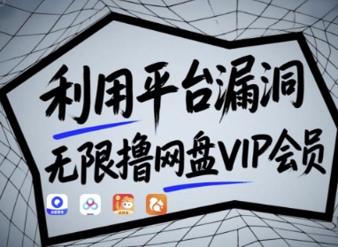 利用平台漏洞，无限撸网盘VIP会员，用户亲测有效!【漏洞原理+操作演示】 - 网赚资源网-网赚资源网