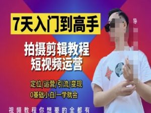 7天入门到高手,短视频剪辑运营高手课,定位 运营 引|流 变现,0基础小白一学就会-网赚资源网