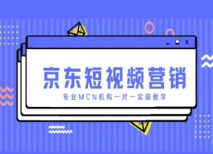 京东短视频营销项目，专业MCN机构一对一实操教学-网赚资源网