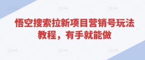 悟空搜索拉新项目营销号玩法教程,有手就能做-网赚资源网