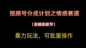 视频号分成计划之情感赛道暴力玩法,可批量操作,保姆级教学-网赚资源网