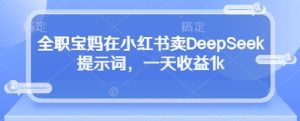 全职宝妈在小红书卖DeepSeek提示词,一天收益1k-网赚资源网