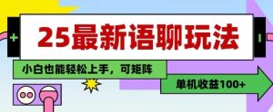 25年最新语聊玩法，纯手工，单机收益100+，小白也能轻松上手，可矩阵操作-网赚资源网